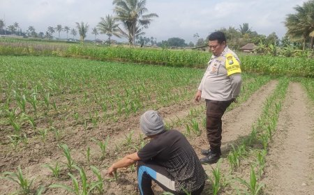 Polres Malang Kawal Hasil Pertanian untuk Dukung Ketahanan Pangan
